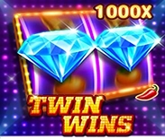 TWIN WINS